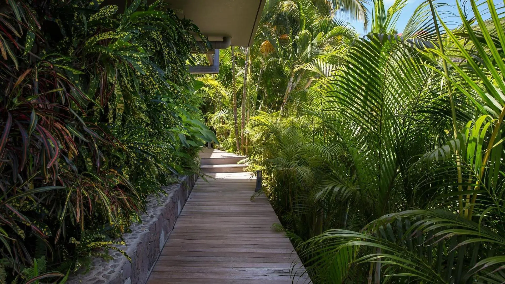 Panoramic Villa With Exotic Decor St. Barthelemy 생 바르텔레미